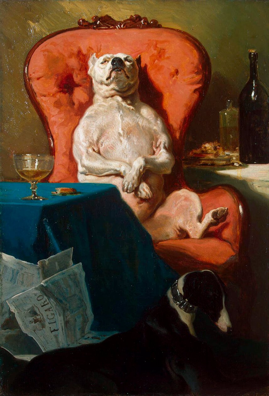 Mops hund i en lænestol