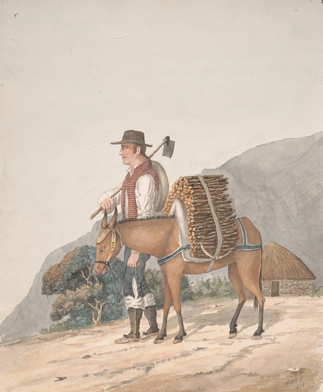 Brænde sælger, Tenerife af Alfred Diston