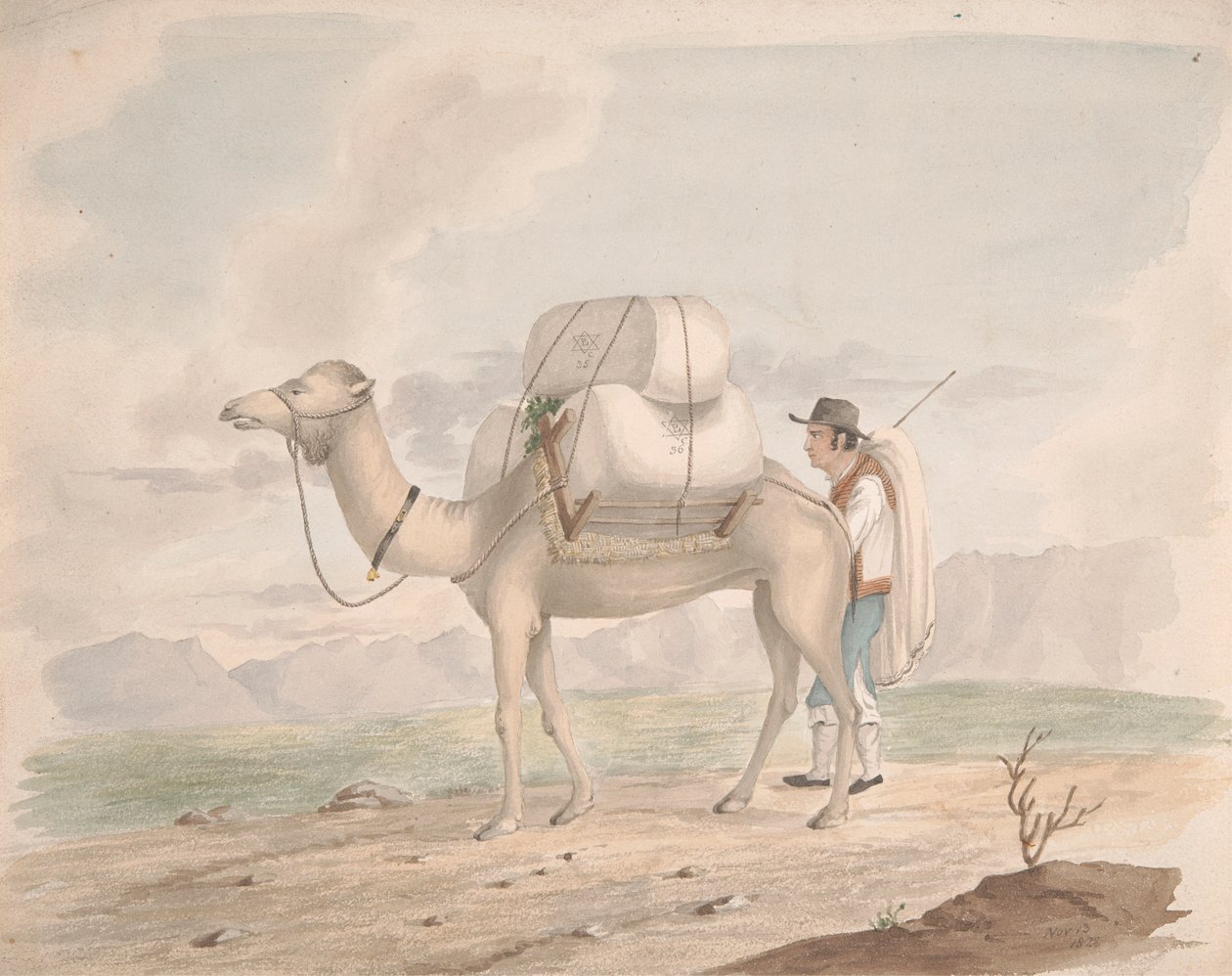 Ladet kamel af Alfred Diston