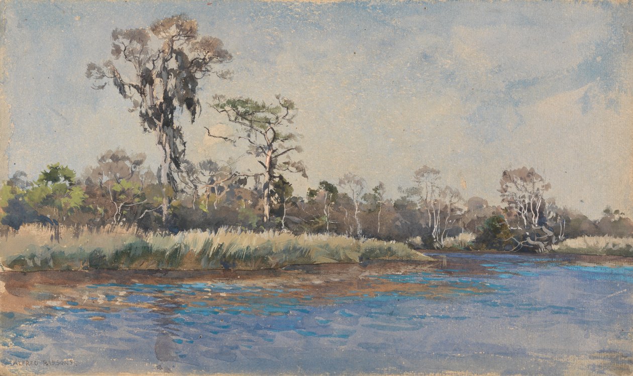 A Creek ved Wilmington, N.C. af Alfred Parsons