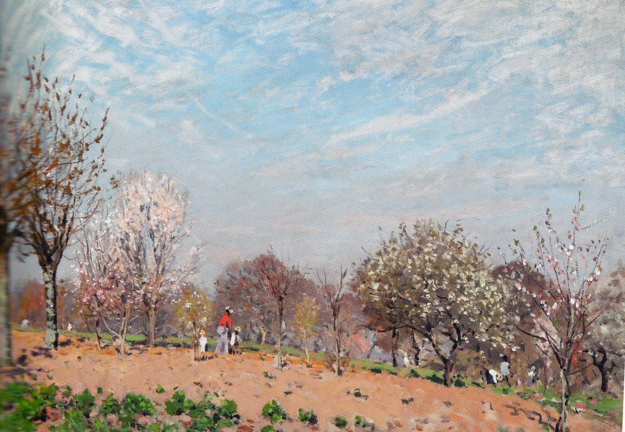 Æbletræer i blomst ved Louveciennes af Alfred Sisley