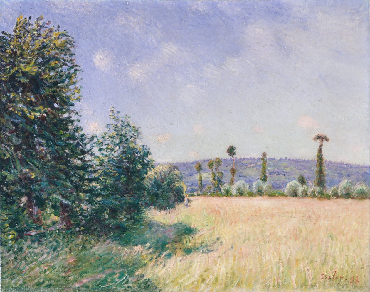 Sahurs Meadows in Morning Sun, 1894. af Alfred Sisley