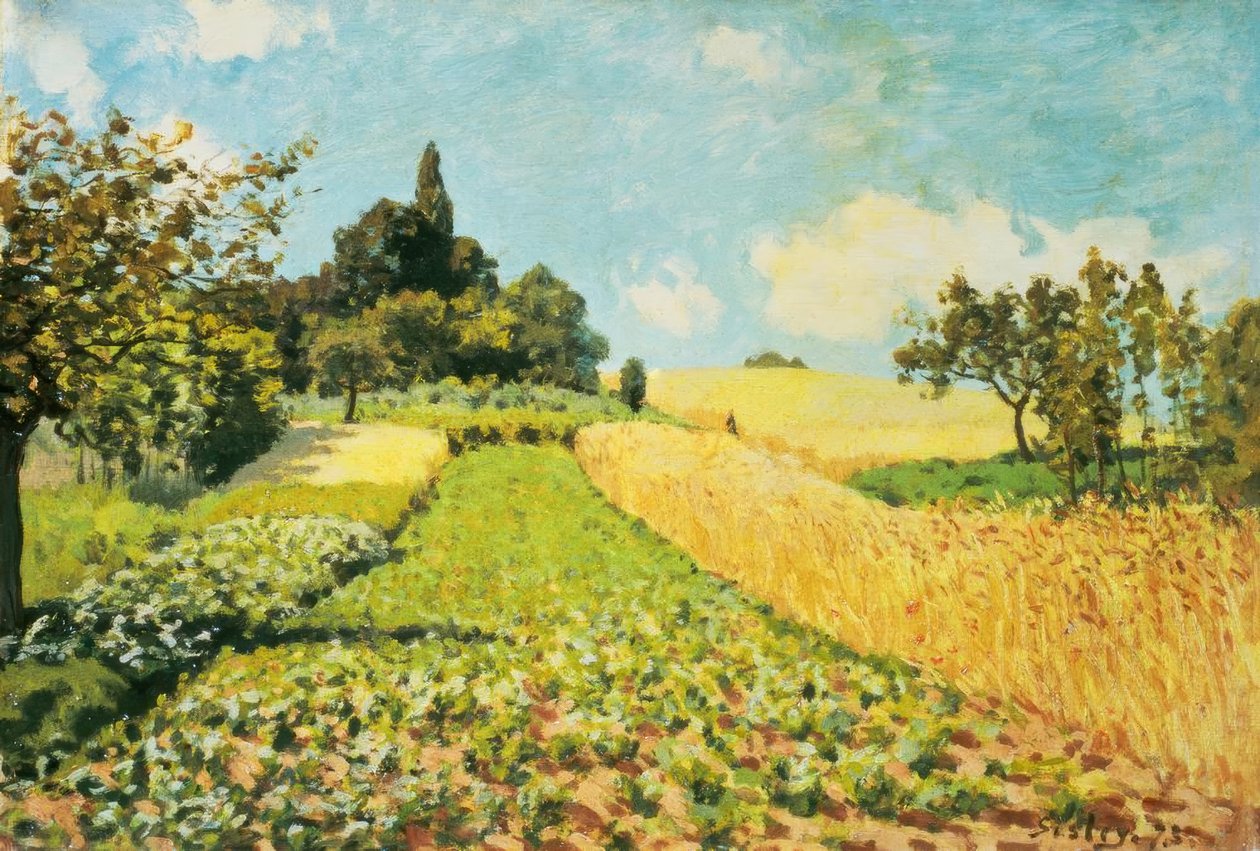 Hvedemark af Alfred Sisley