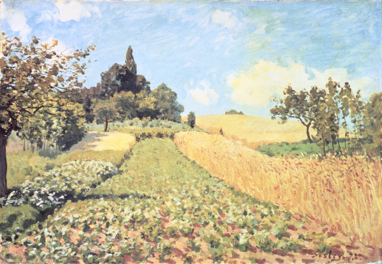 Wheat Field (olie på lærred) af Alfred Sisley