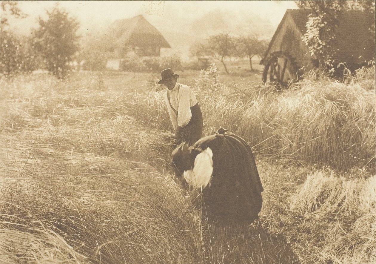 Tidlig morgen, 1894. af Alfred Stieglitz