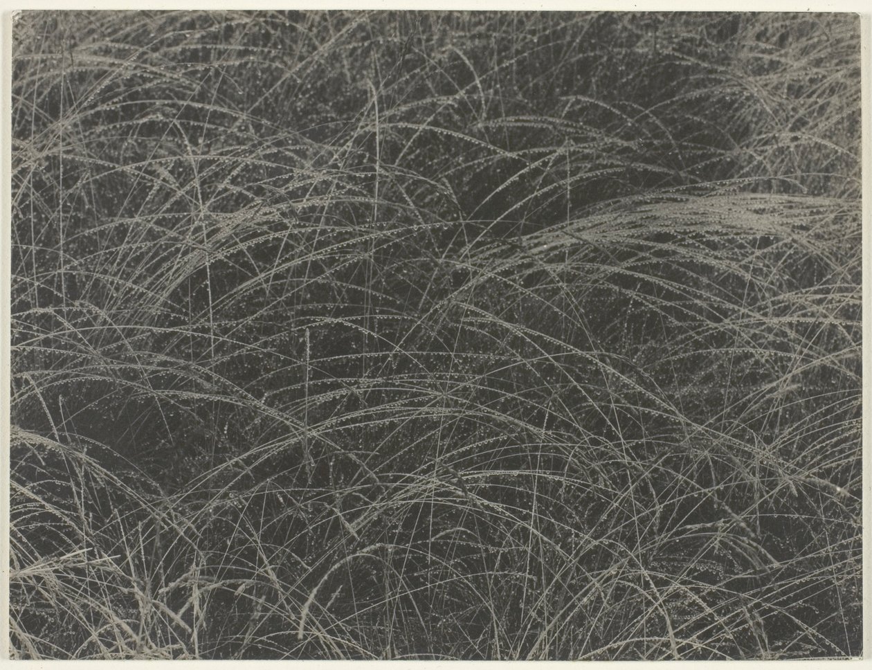 Tilsvarende af Alfred Stieglitz