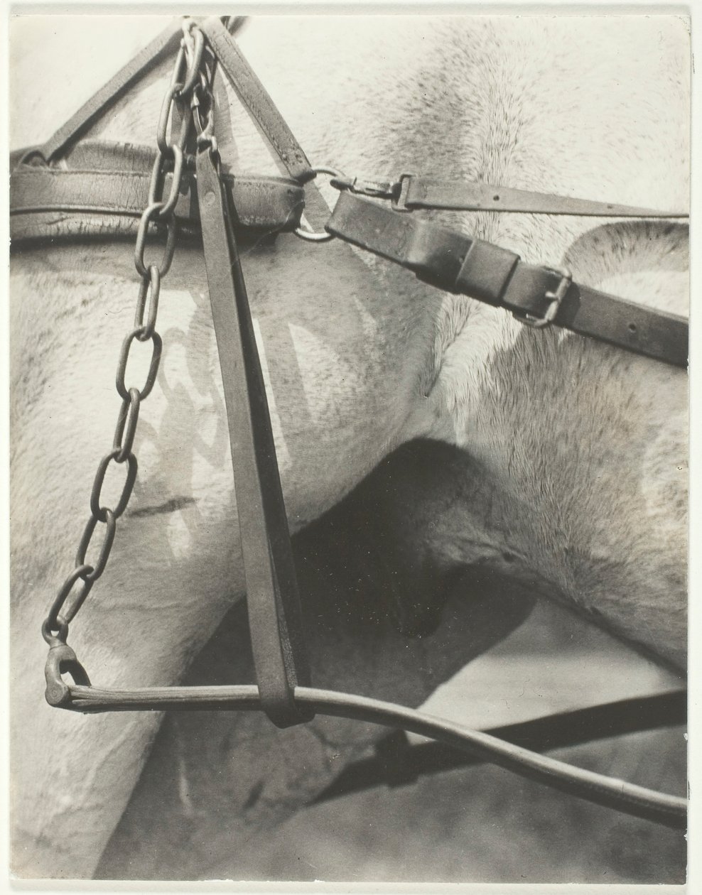 Tilsvarende, Spiritual America, 1923. af Alfred Stieglitz