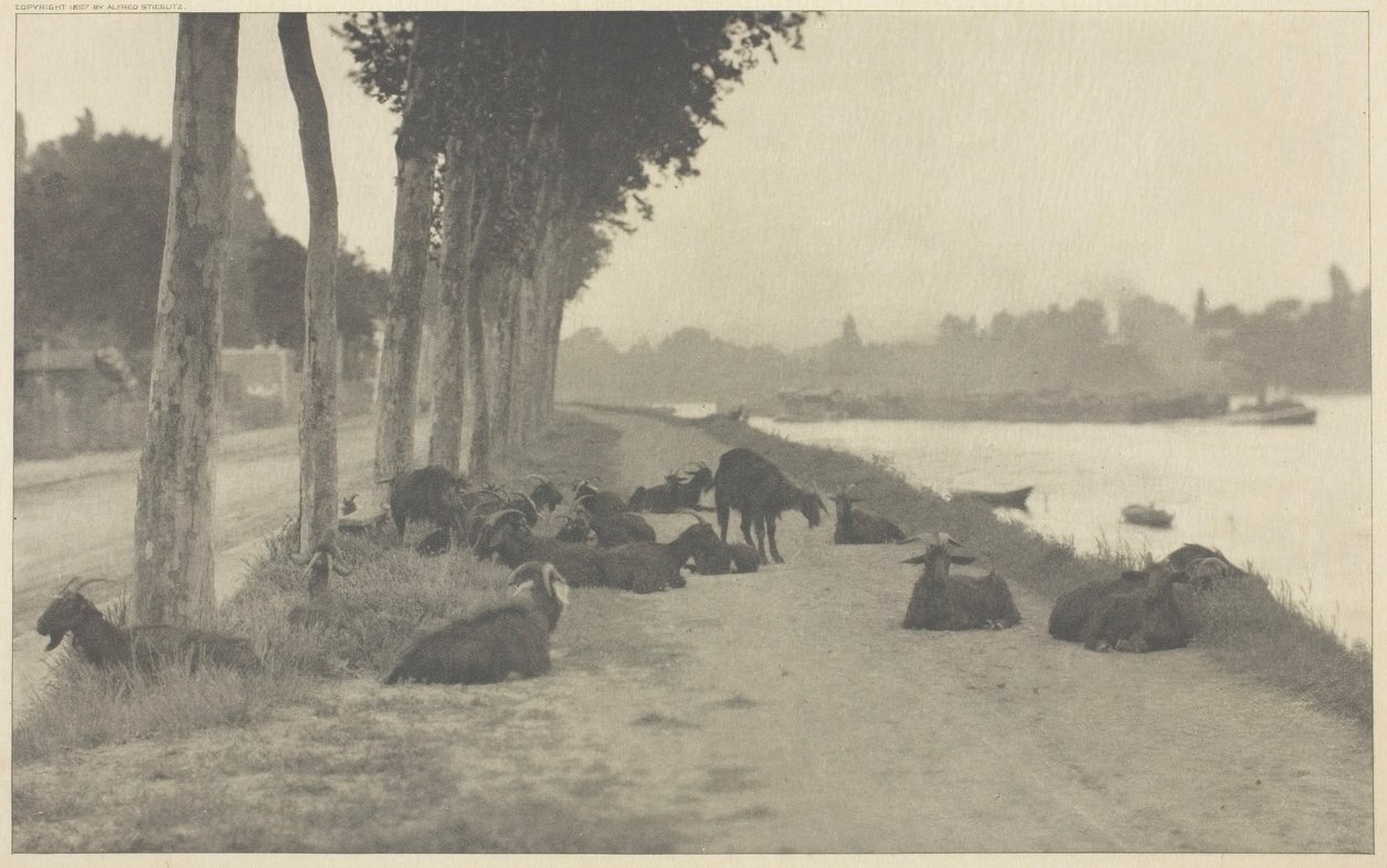 På Seinen - nær Paris, 1894, trykt 1897. af Alfred Stieglitz