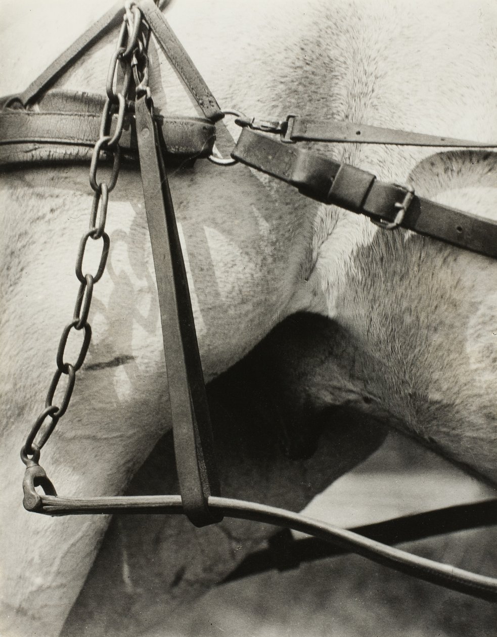 Spiritual America: Songs of the Sky A1 af Alfred Stieglitz
