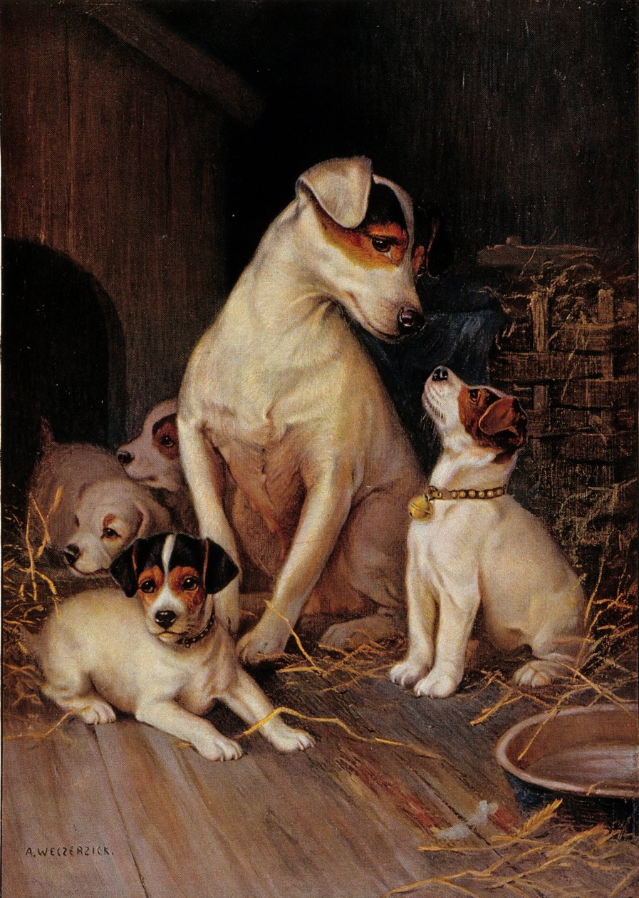 Den lille pige og hendes hunde (print) af Alfred Weczerzick