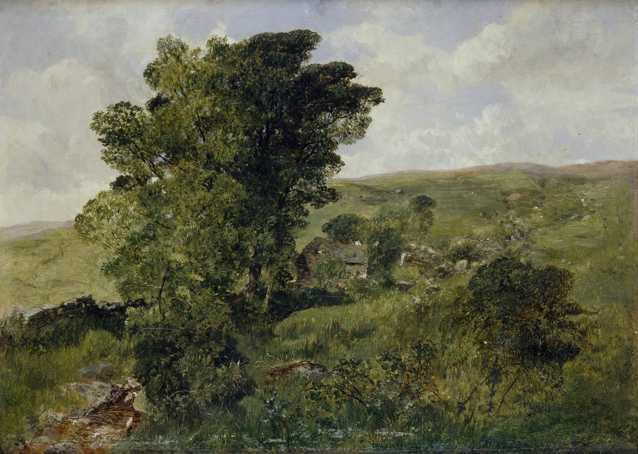 Udsigt over Nantlle, Caernarvonshire, 1855 af Alfred William Hunt