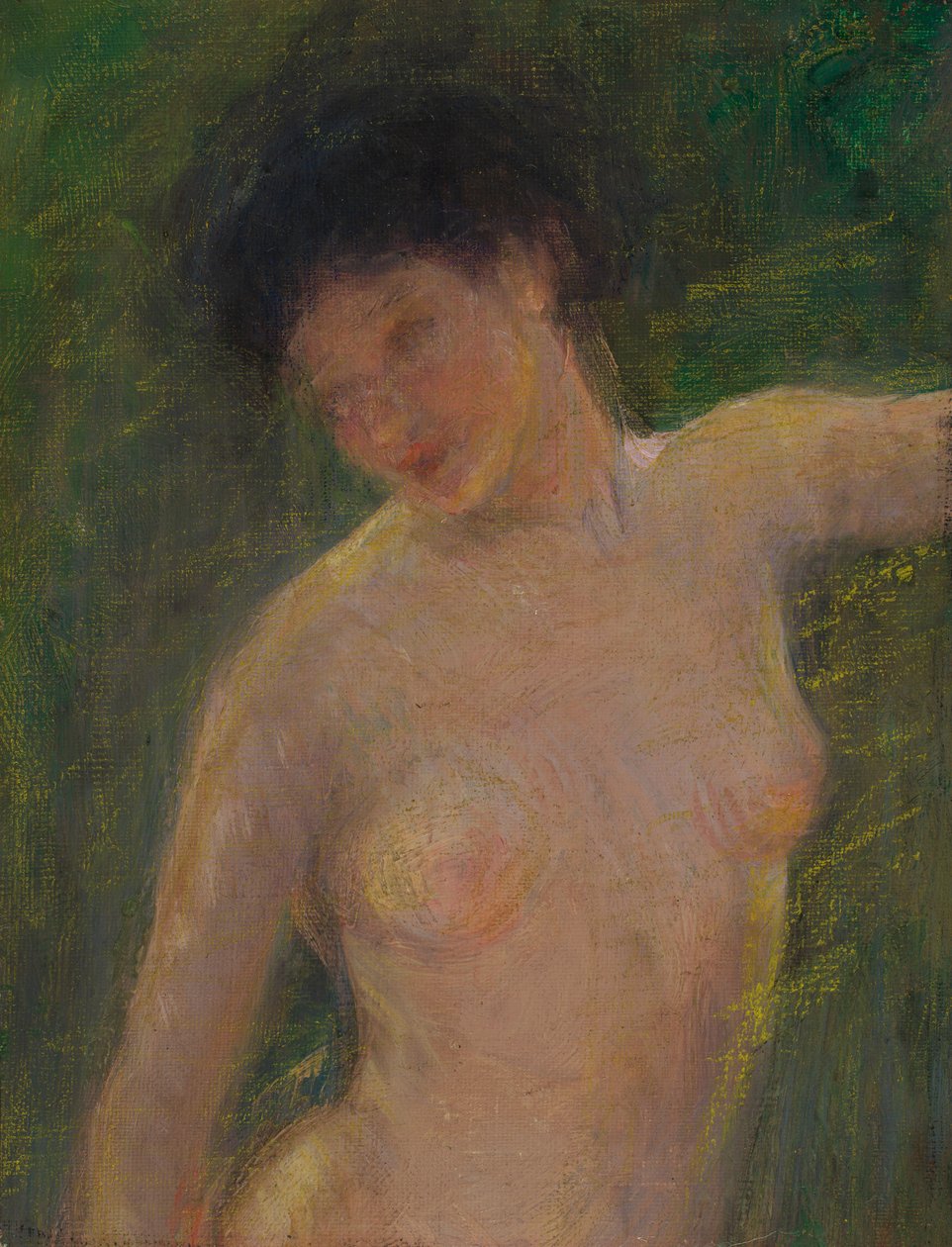 I skyggen af Alice Pike Barney