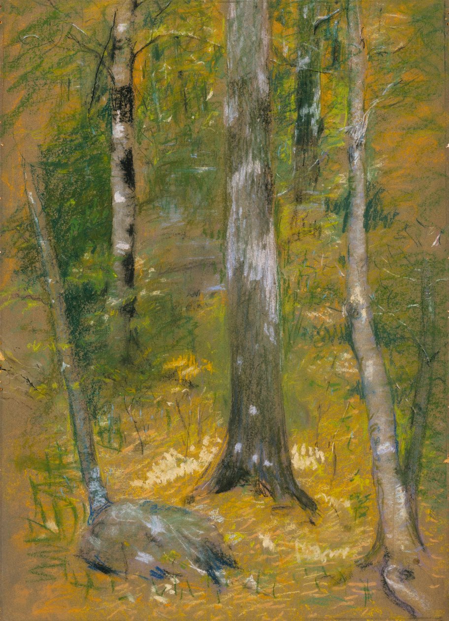 Onteora af Alice Pike Barney