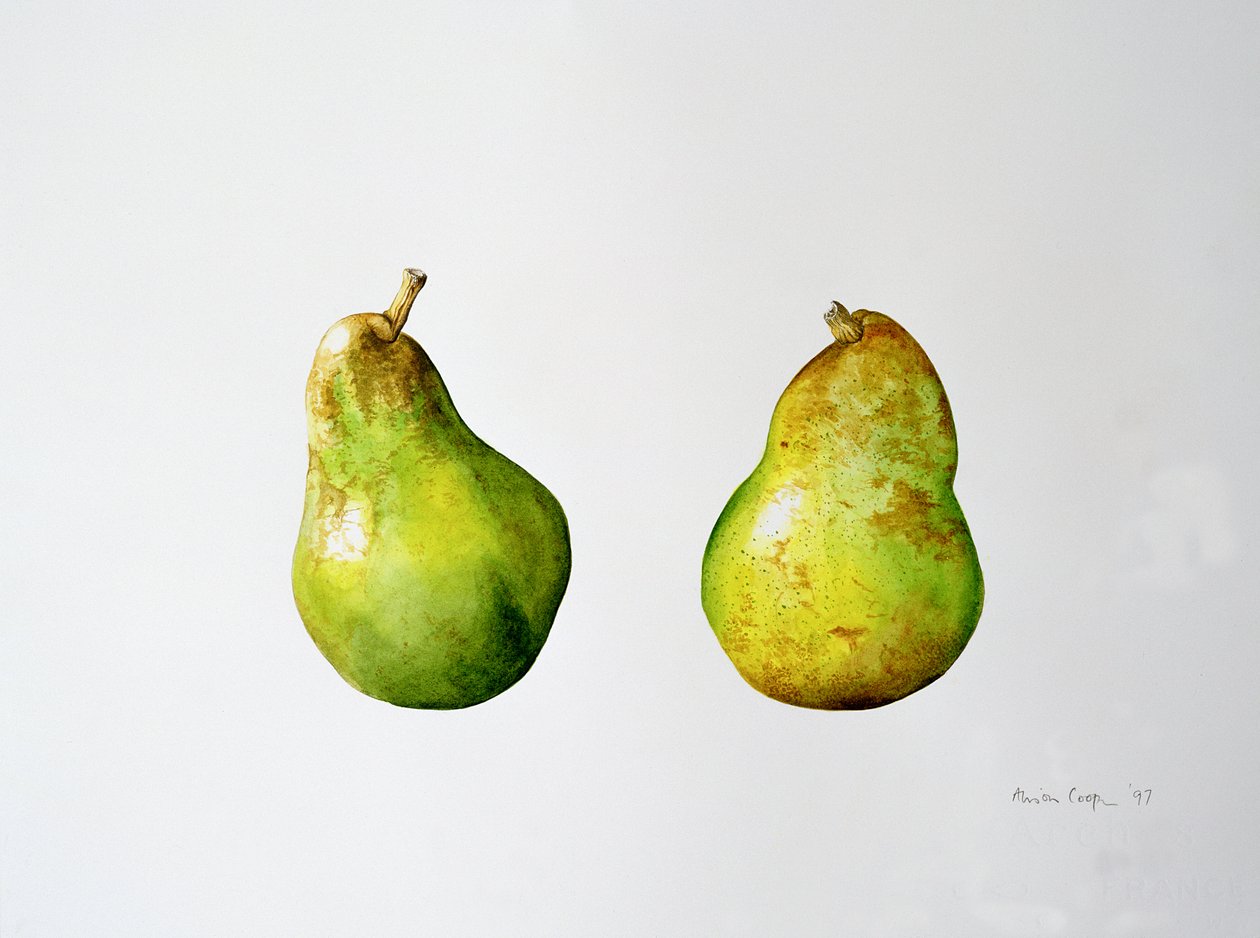 Et par pærer, 1997 af Alison Cooper