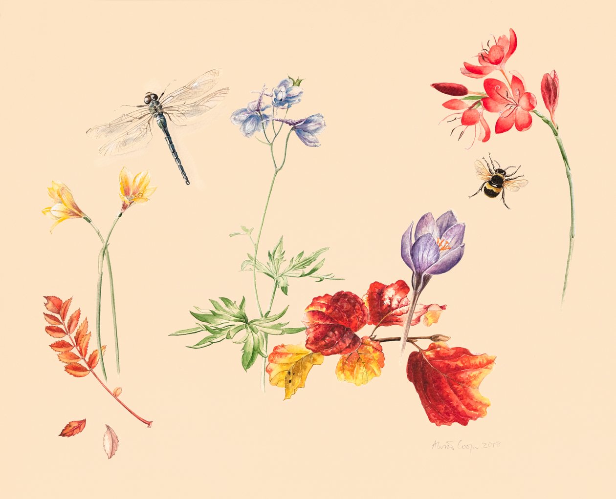 Efterårsblomster og insekter af Alison Cooper