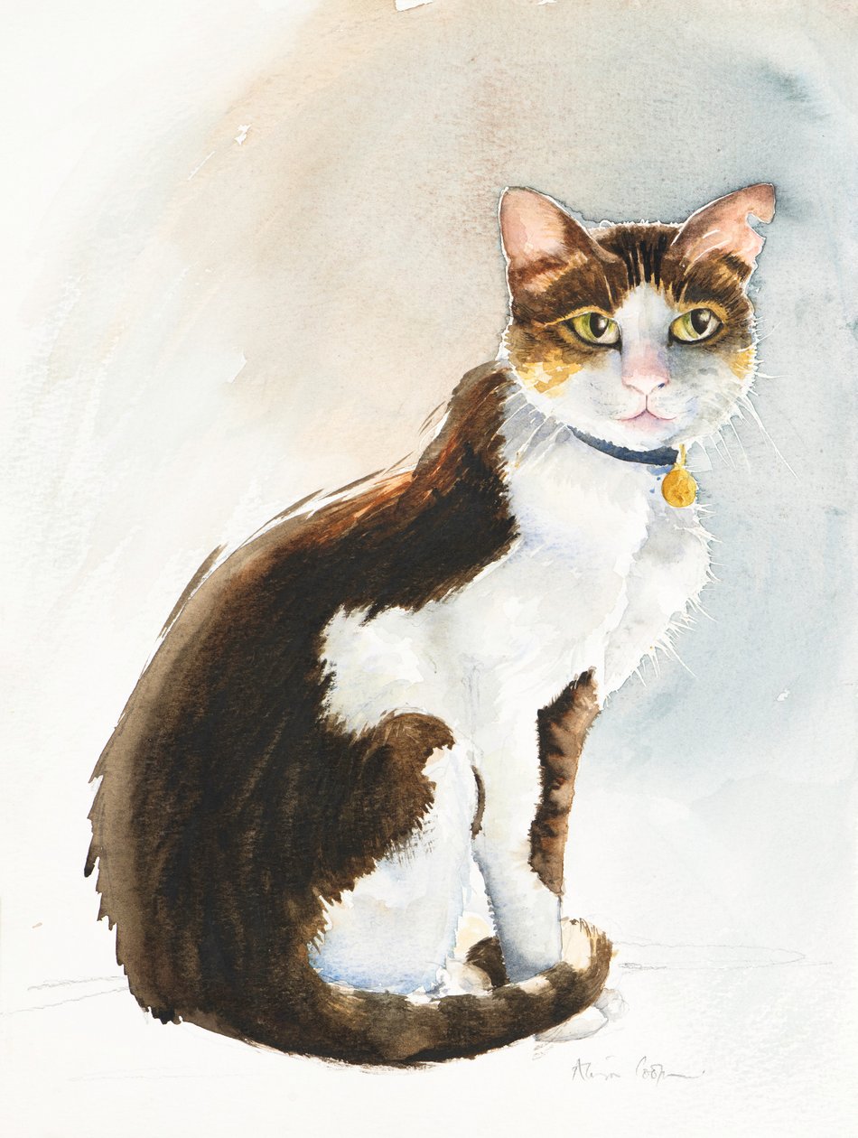 Dave the Saudi Cat, 2019 (akvarel) af Alison Cooper