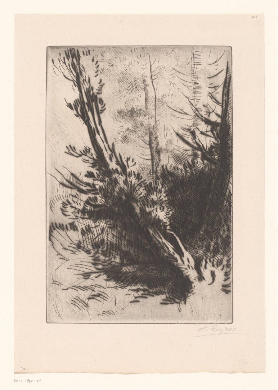 træer af Alphonse Legros (signed by artist)