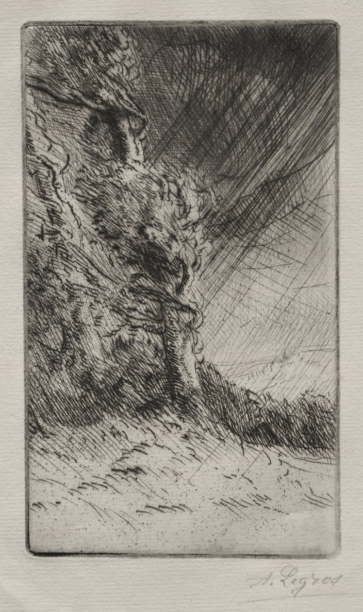 Et vindstød. af Alphonse Legros