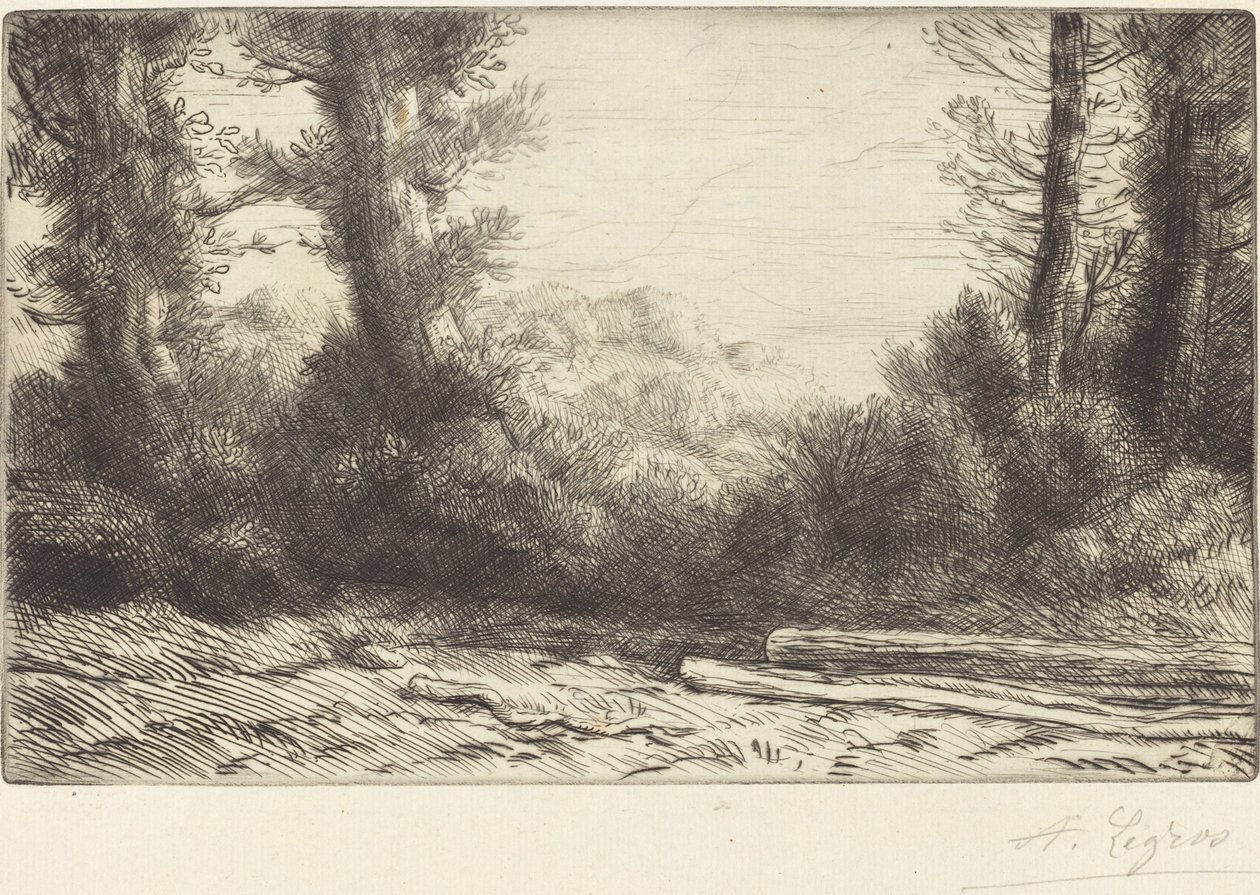 Edge of a Wood (Lisiere de bois) af Alphonse Legros