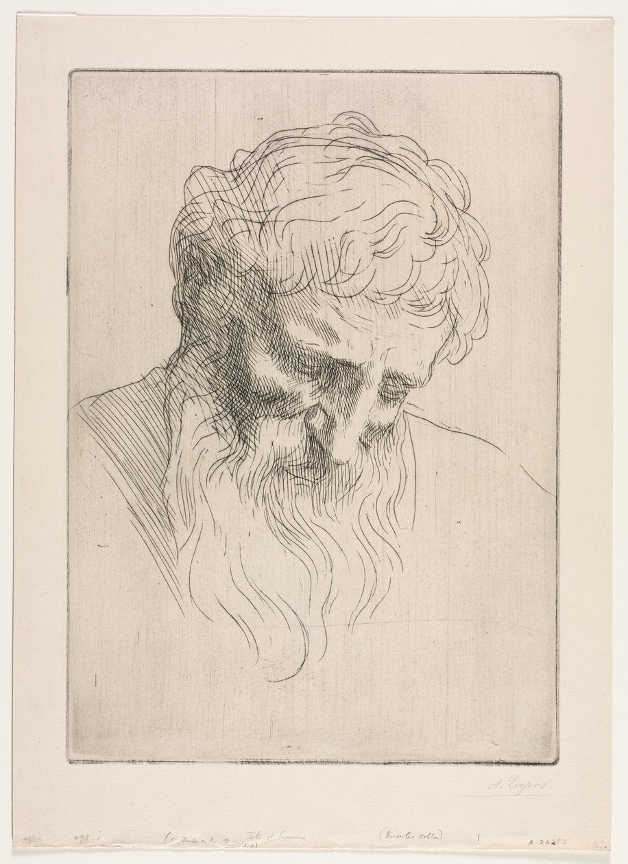 Hoved af en mand af Alphonse Legros