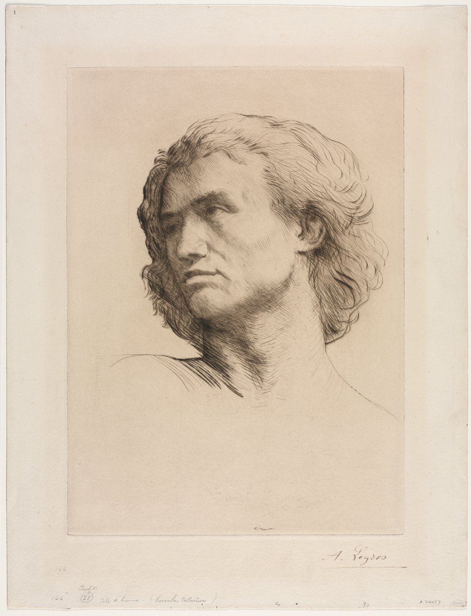 Hoved af en mand af Alphonse Legros