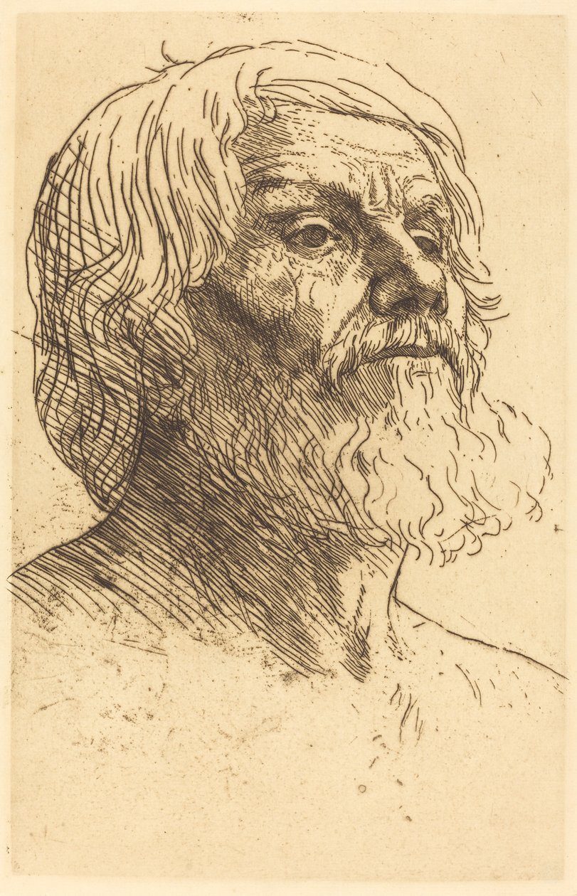 Head of a Man Tete d