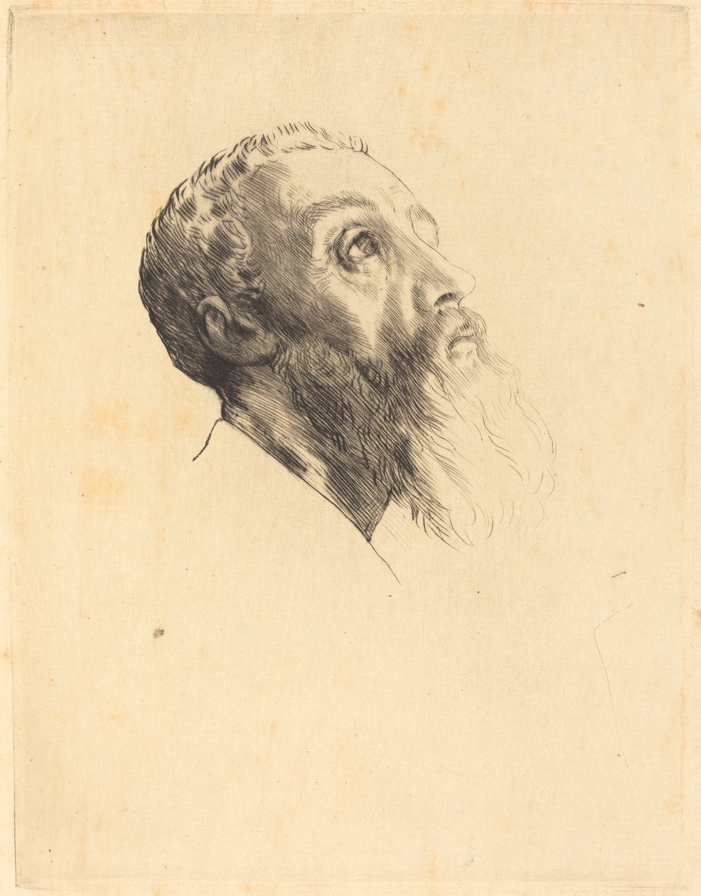 Leder af en model af Alphonse Legros