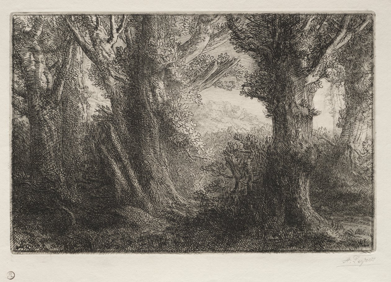 I skoven ved Conteville af Alphonse Legros