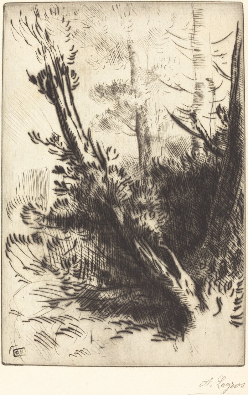 I skoven af Alphonse Legros