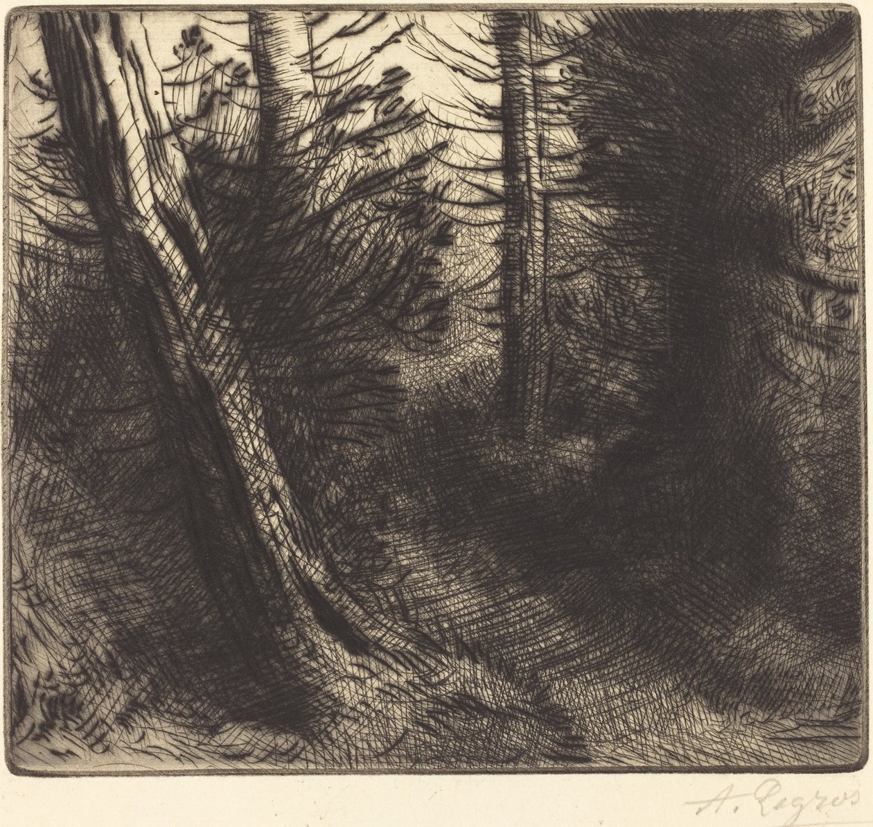 Sti gennem skoven Sti gennem skoven. af Alphonse Legros