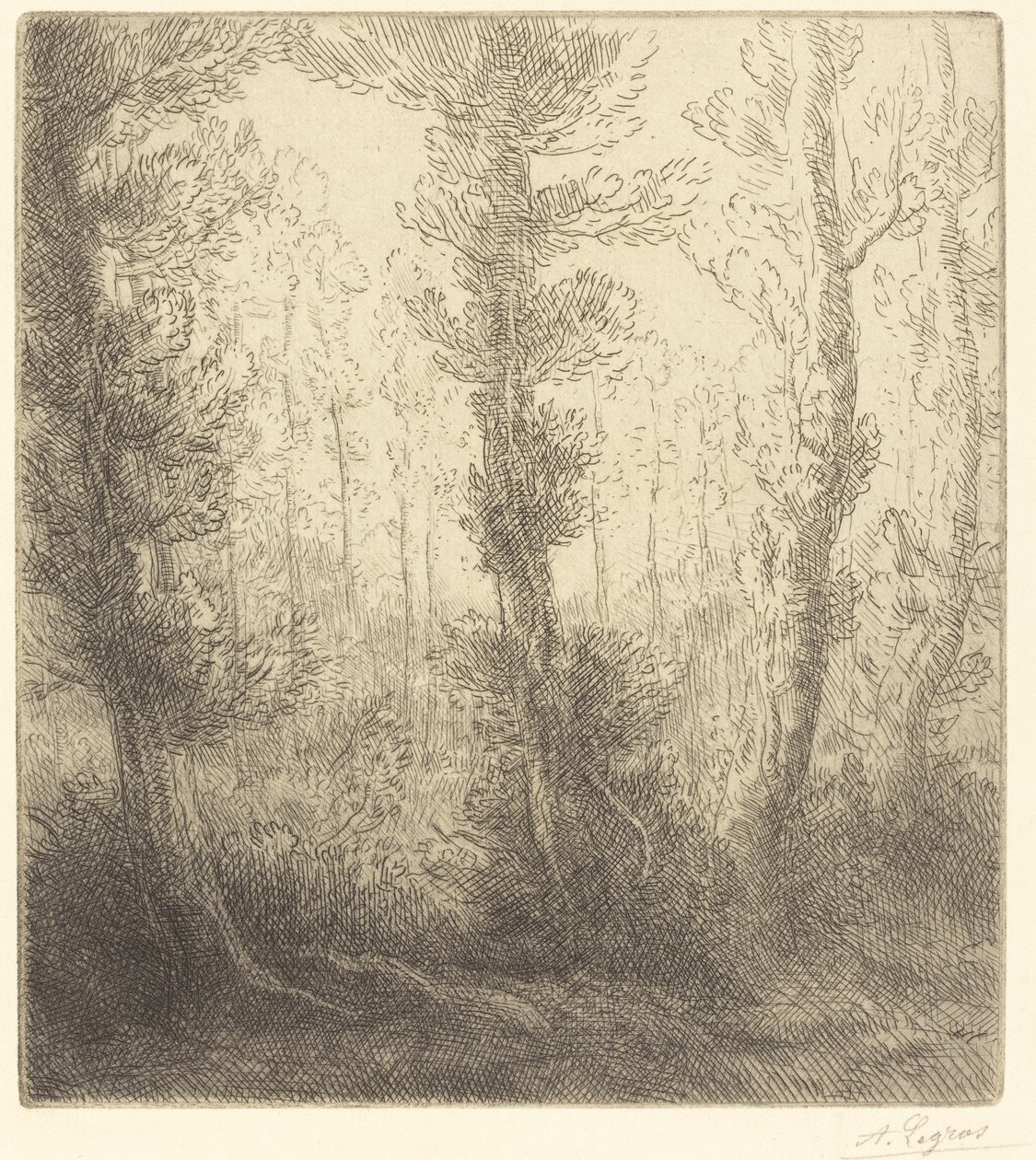 Lille sø Den lille sø. af Alphonse Legros