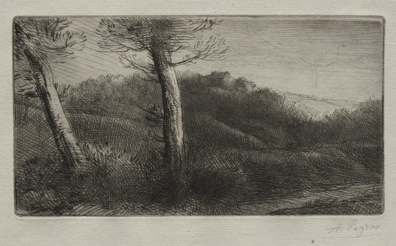 Den rejsende strakte sig ud på Græsset af Alphonse Legros