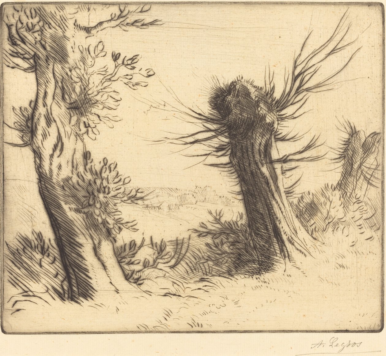 Piletræer (Les saules) af Alphonse Legros