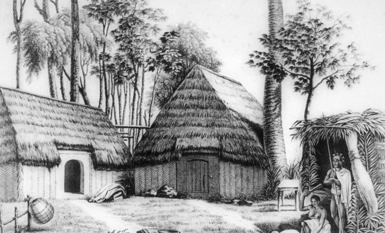Høvdingens hus, Kalaimoku, 1819. af Alphonse Pellion