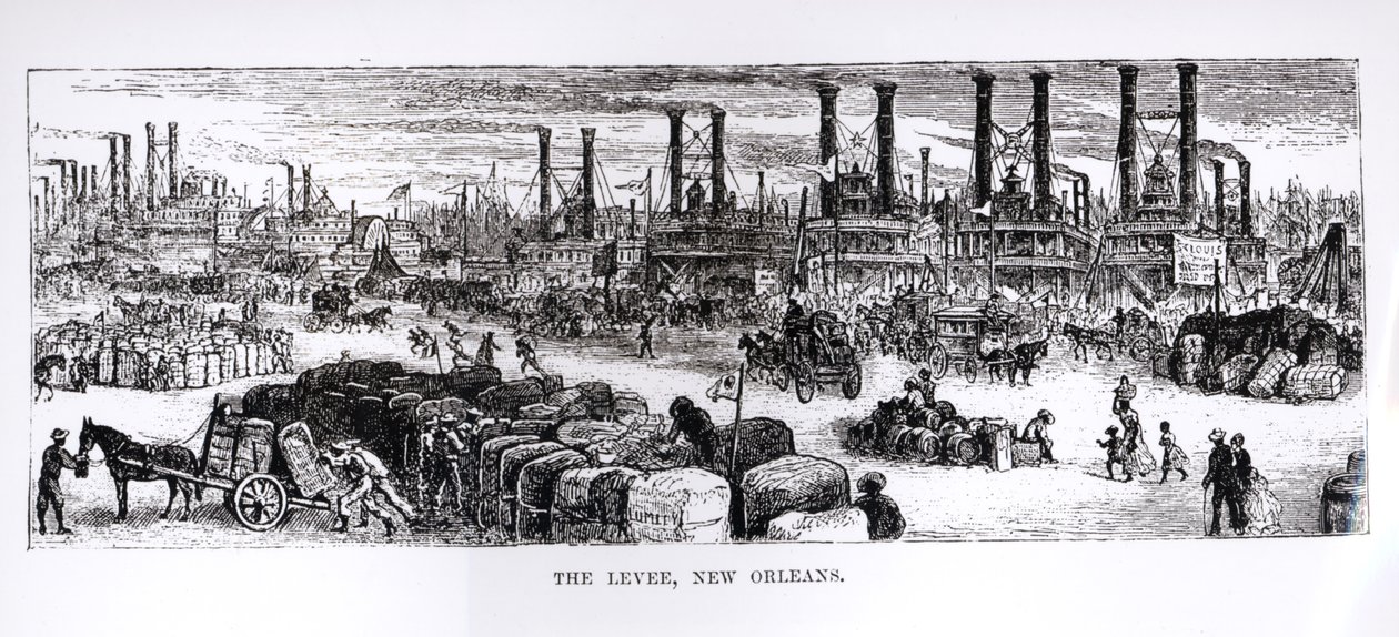 The Levee, New Orleans af American School
