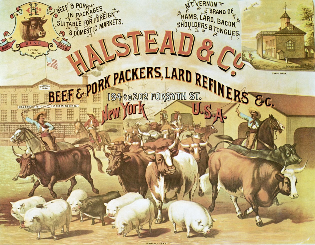 Okse- og svinekødspakker, ca. 1880 (farve litho) af American Photographer