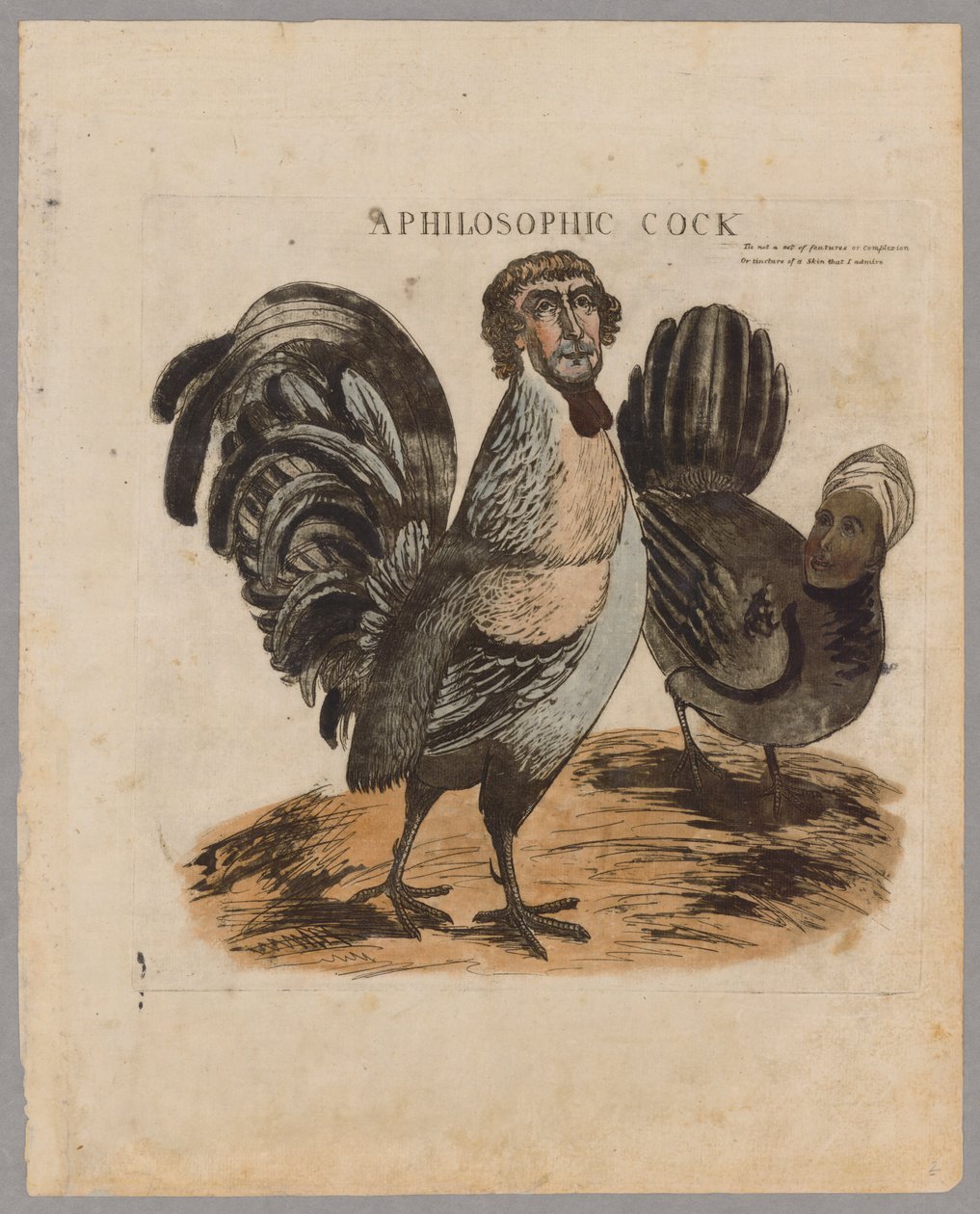 En filosofisk hane, 1804 af American School