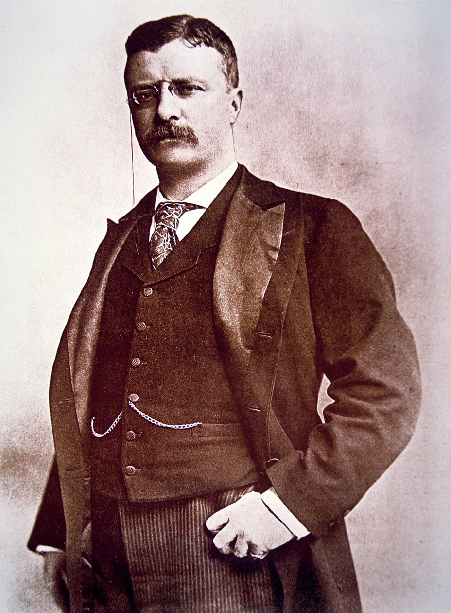 Præsident Theodore Roosevelt (litho) af American School