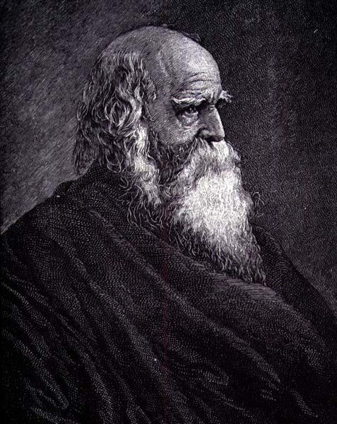 William Cullen Bryant (gravering) af American School