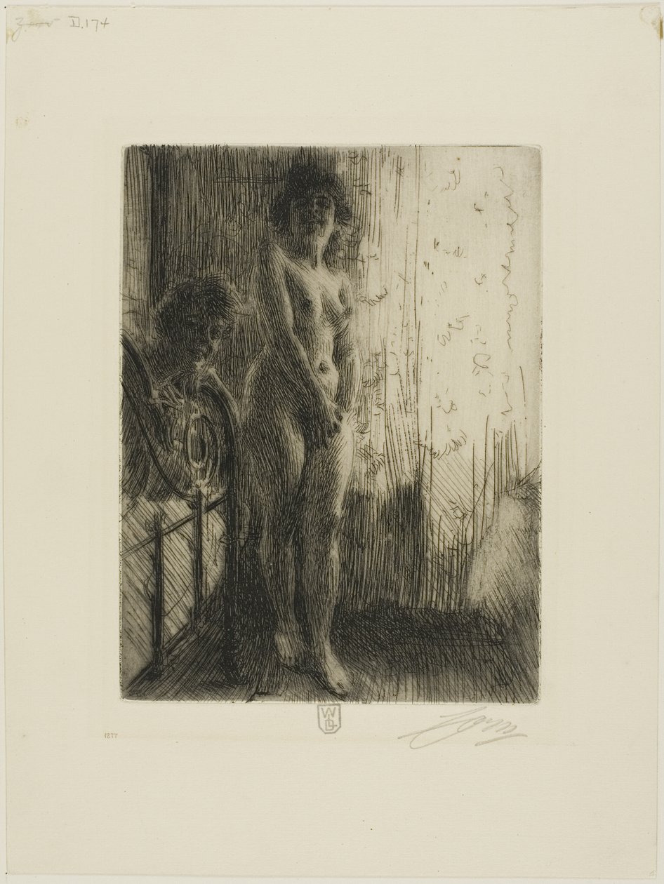 Et mørkt hjørne af Anders Leonard Zorn