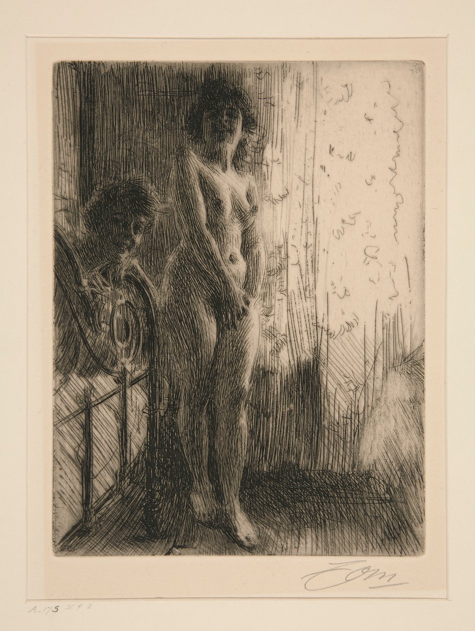Et mørkt hjørne af Anders Leonard Zorn