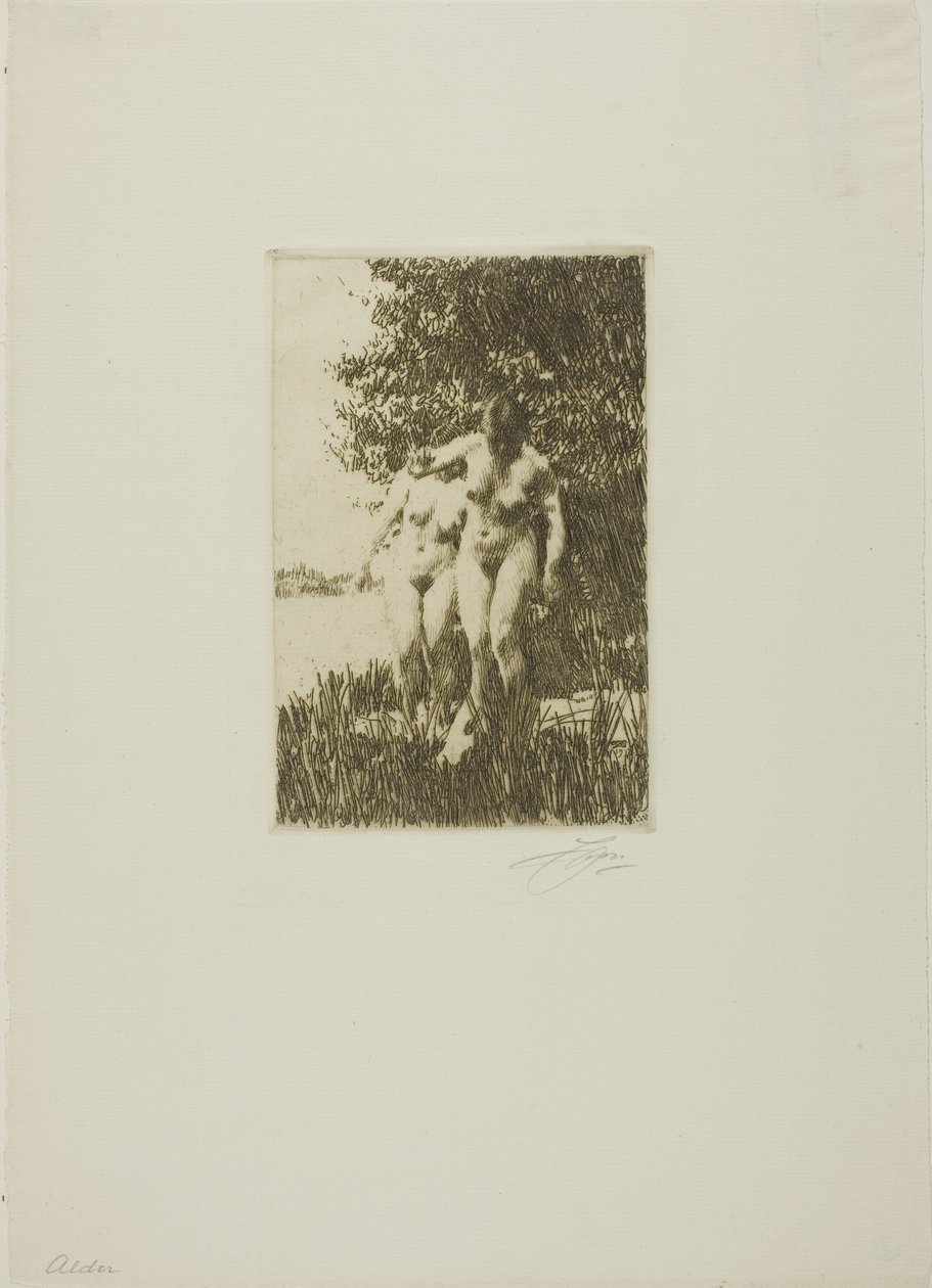 Alder af Anders Leonard Zorn