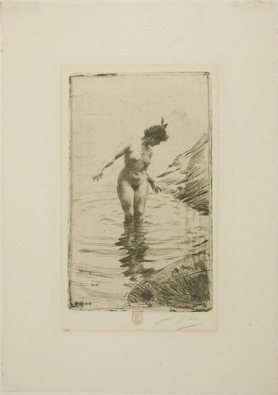 Cirkler af vand II af Anders Zorn