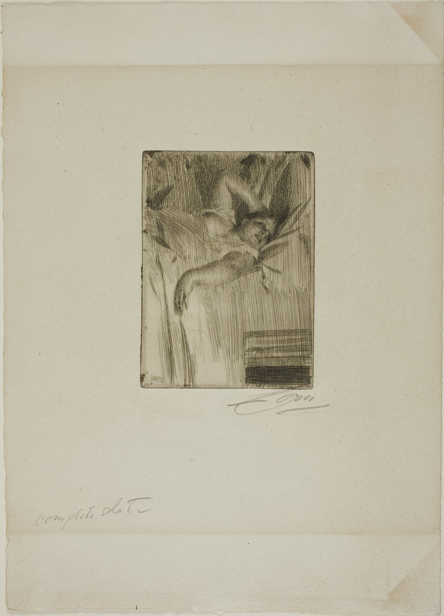 Alarmen af Anders Leonard Zorn