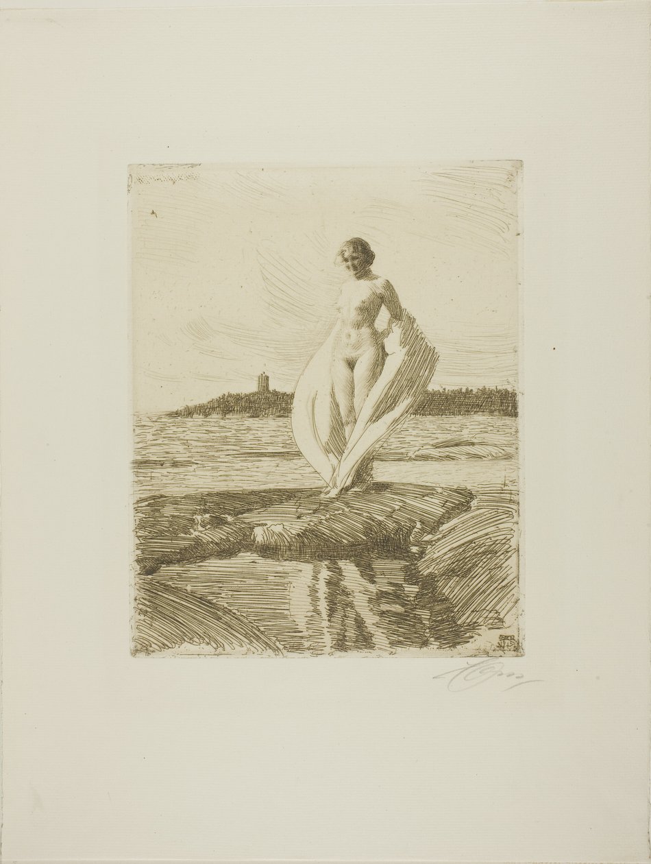 Svanen af Anders Leonard Zorn