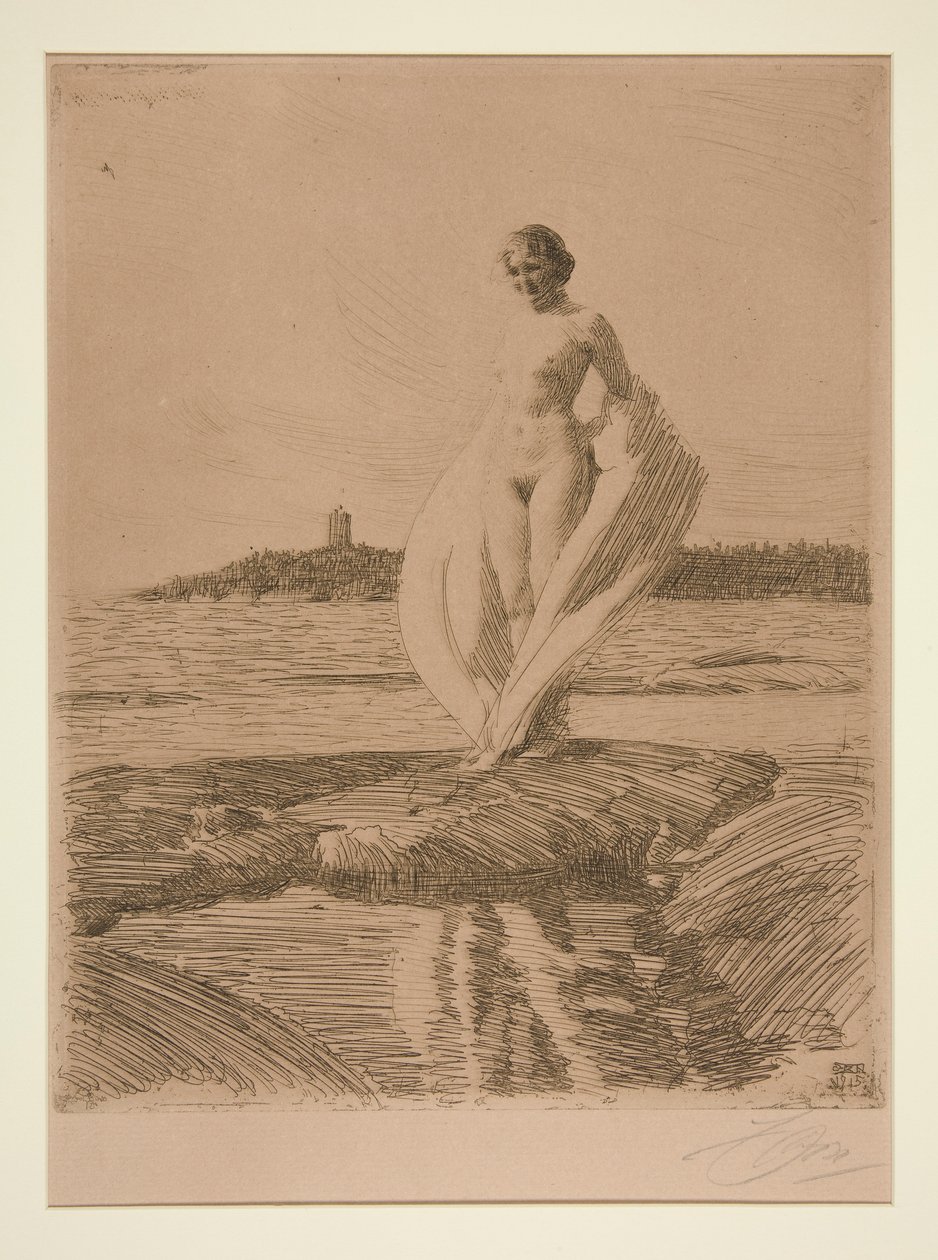 Svanen af Anders Leonard Zorn