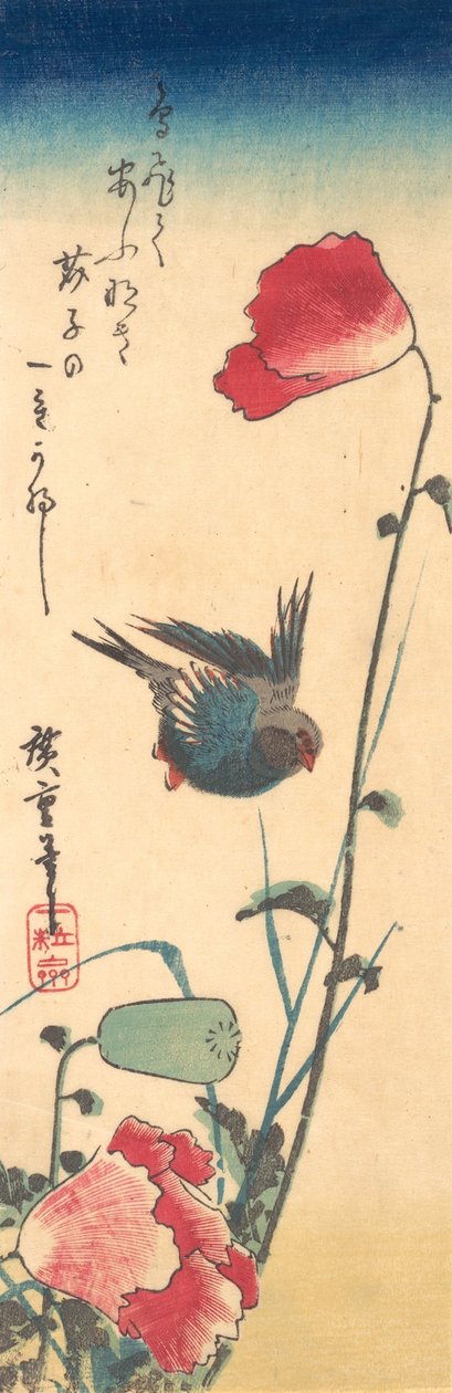 En blåfugl og valmuer, 1832-34., 1832-34. af Ando Hiroshige