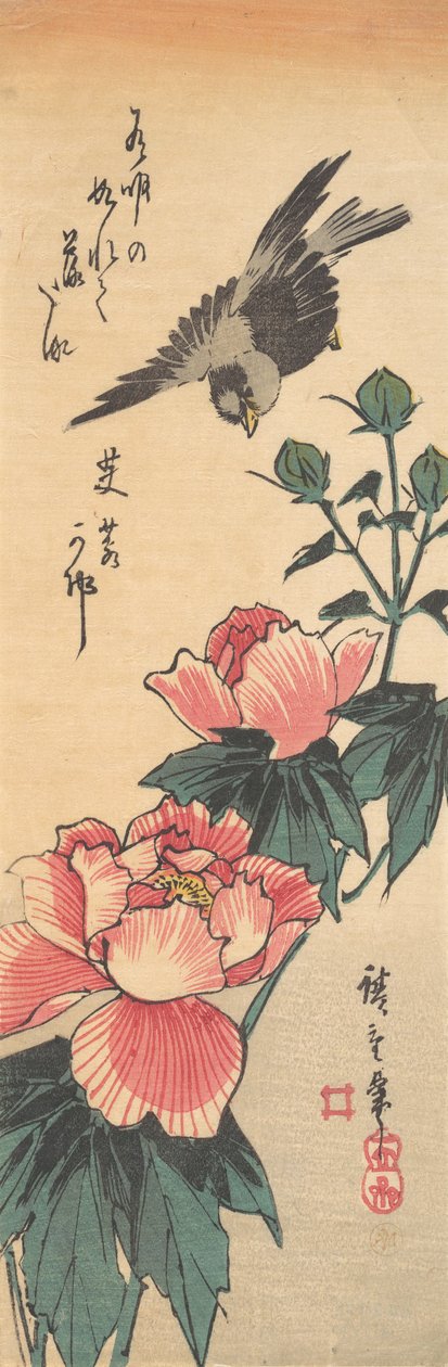 Spurv og Hibiscus, ca. 1834., ca. 1834. af Ando Hiroshige