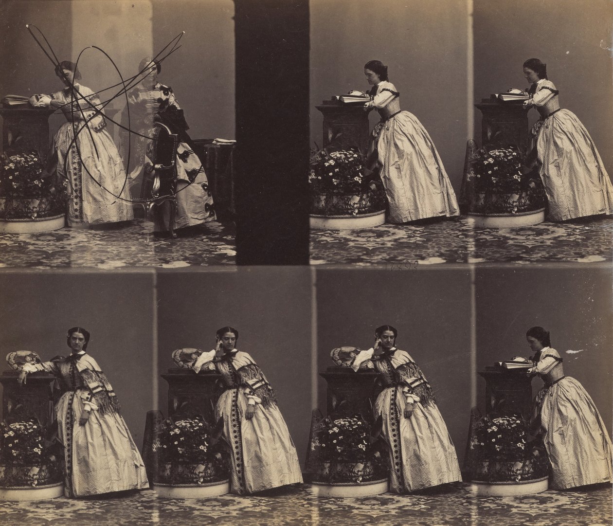 V Queniaus, maj-juni 1860. af Andre Adolphe Eugene Disderi