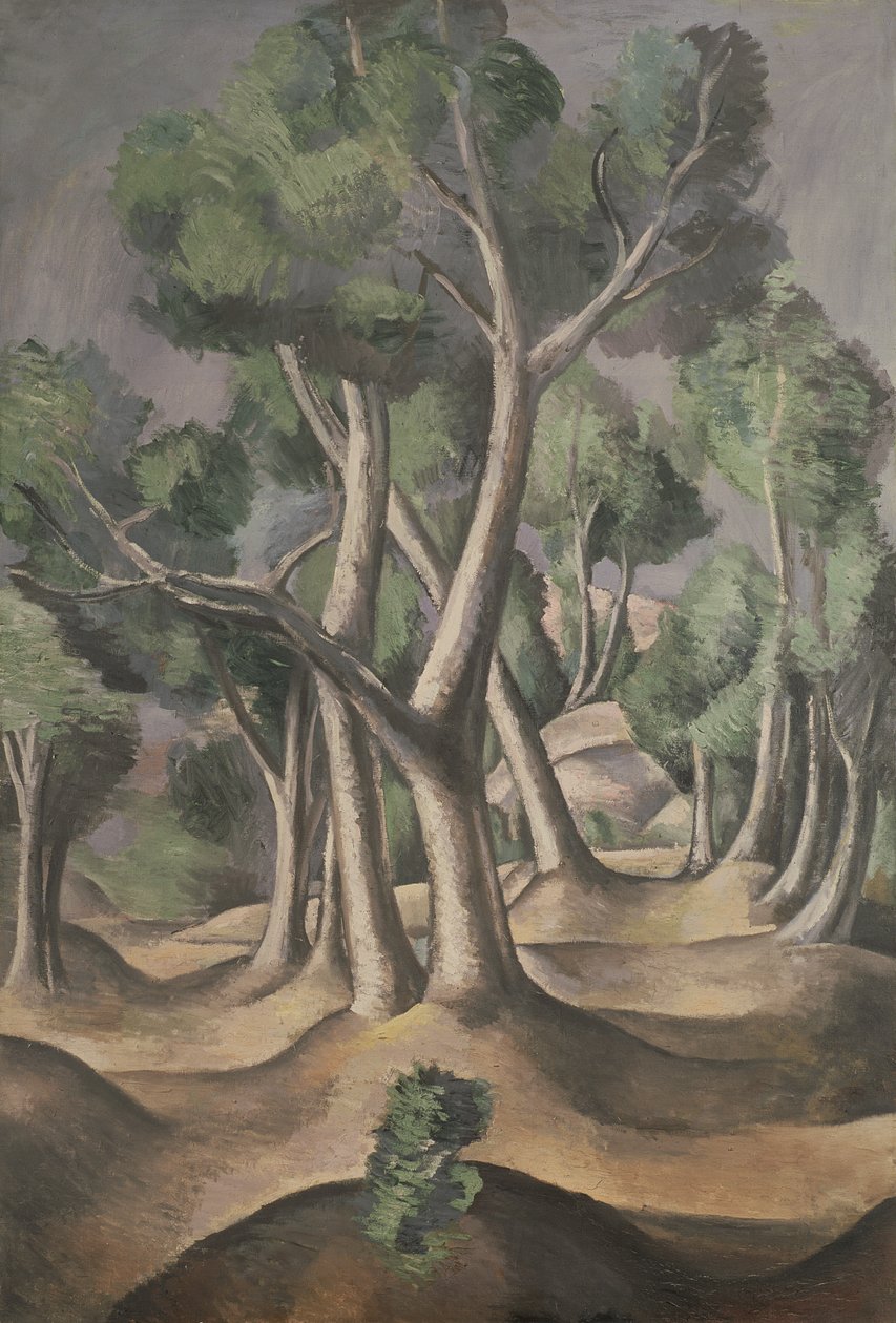 Lunden af Andre Derain
